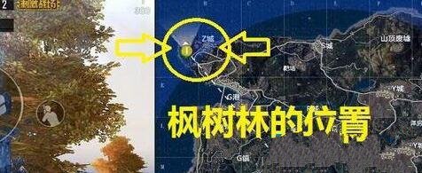 《和平精英》海岛地图秋千坐标位置一览