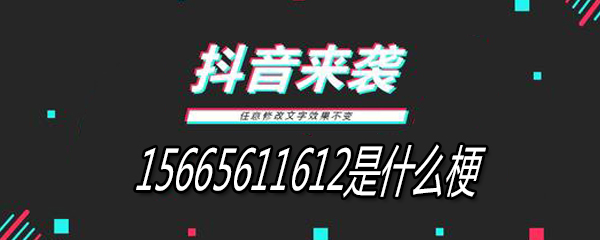 《抖音》156656 11612是什么梗