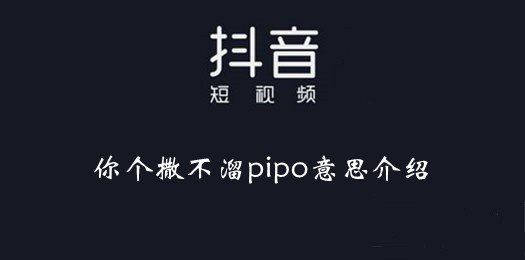 《抖音》撒不溜pipo啥意思什么梗