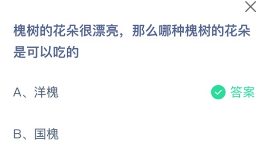 《支付宝》槐树的花朵很漂亮，那么哪种槐树的花朵是可以吃的？蚂蚁庄园3月30日答案最新