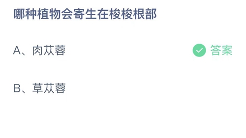 《支付宝》蚂蚁庄园2021年11月23日答案最新