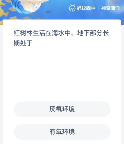 《支付宝》神奇海洋2022年11月17日答案最新