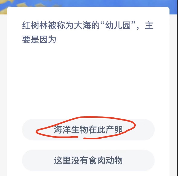 《支付宝》神奇海洋2022年11月18日答案最新