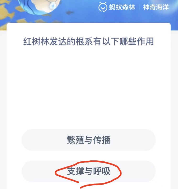 《支付宝》神奇海洋2022年11月23日答案最新